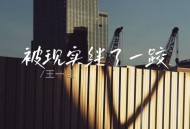 王一佳《被现实绊了一跤》[FLAC/MP3-320K]网盘下载