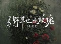 李发发《是野草也是玫瑰》[无损flac]网盘下载