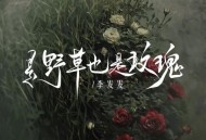 李发发《是野草也是玫瑰》[无损flac]网盘下载