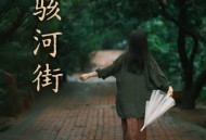 四熹丸子《骇河街》[FLAC/MP3-320K]网盘下载