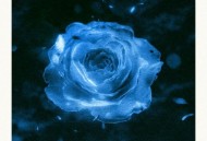 张艺兴《This Must Be Love》[无损FLAC|320K高品质MP3]网盘下载