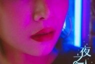 花姐《夜之光》[无损flac]网盘下载