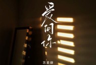 苏星婕《爱问你》[无损flac]网盘下载