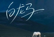 萌小猫《白龙马(搞笑版)》[无损flac|320K高品质MP3]网盘下载