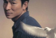 刘德华2004年专辑《Coffee or Tea》[无损flac|320K高品质MP3]网盘下载