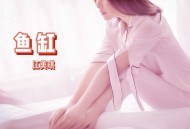 江美琪&椅子乐团 The Chairs《鱼缸》[无损flac]网盘下载