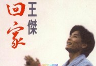 王杰1992年单曲专辑《回家》[无损flac]网盘下载