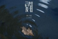 黄子韬《爱错》[FLAC/MP3-320K]网盘下载
