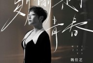 魏佳艺《岁月偷走了青春》[FLAC/MP3-320K]网盘下载