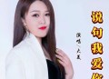 大美《说句我爱你》[无损flac|320K高品质MP3]网盘下载