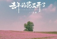 艺凌《去年的花又开了》[无损flac|320K高品质MP3]网盘下载