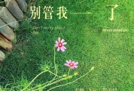 Vic、王极、贺子玲《别管我了》[FLAC/MP3-320K]网盘下载