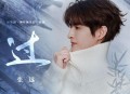 张远《过》[无损flac|320K高品质MP3]网盘下载