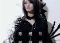 张韶涵2007年专辑《梦里花》[无损flac]网盘下载