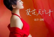 赵洋《葵花点穴手》[FLAC/MP3-320K]网盘下载