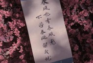 小鱼干《春风也有春风愁》[无损flac]网盘下载