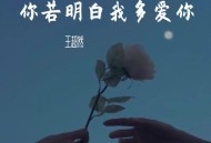 王超然《你若明白我多爱你》[FLAC/MP3-320K]网盘下载