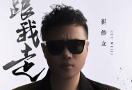 崔伟立《跟我走》[无损flac|320K高品质MP3]网盘下载