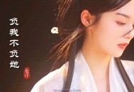 赵洋《负我不负她》[无损flac]网盘下载