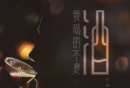 王一佳《我喝的不是酒》[无损flac|320K高品质MP3]网盘下载