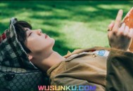 鹿晗《风吹过》（Gone With The Wind）[无损flac]网盘下载