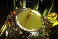 R.E.D2025年专辑《釉》[FLAC/MP3-320K]网盘下载