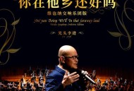 光头李进《你在他乡还好吗 (维也纳交响乐团版)》[FLAC/MP3-320K]网盘下载