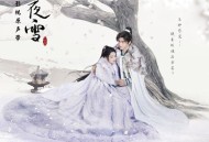 《七夜雪》电视剧影视原声带[无损FLAC|320K高品质MP3]网盘下载