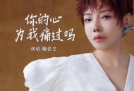 魏佳艺《你的心为我痛过吗》[无损flac|320K高品质MP3]网盘下载