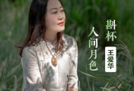 王爱华《斟杯人间月色》[无损flac|320K高品质MP3]网盘下载