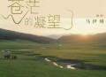 马伊琍全新单曲《苍茫的凝望》[无损flac]网盘下载