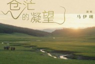 马伊琍全新单曲《苍茫的凝望》[无损flac]网盘下载