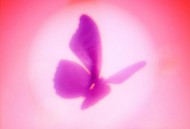 刘思鉴《曈》[FLAC/MP3-320K]网盘下载