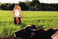 Gareth.T《颜色》[FLAC/MP3-320K]网盘下载