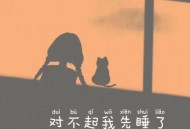 刀酱《对不起我先睡了》[无损flac]网盘下载