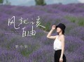 罗小铃《风就该自由》[FLAC/MP3-320K]网盘下载