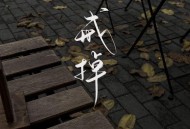 苏星婕《戒掉》[FLAC/MP3-320K]网盘下载