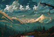 pro《等不来花开》[无损flac]网盘下载