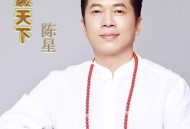 陈星《赢天下》[无损flac|320K高品质MP3]网盘下载