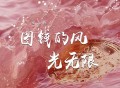 安儿陈《图钱的风光无限》[FLAC/MP3-320K]网盘下载