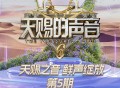 天赐的声音第六季第5期[FLAC/MP3-320K]网盘下载