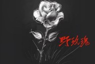 就是南方凯《野玫瑰》[无损flac|320K高品质MP3]网盘下载