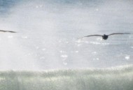 Chainhaha《鼓浪的风Good Flow》[FLAC/MP3-320K]网盘下载