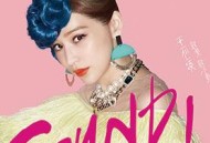 王心凌2015年专辑《敢要敢不要》[无损flac]网盘下载