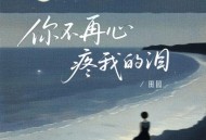 田园《你不再心疼我的泪》[FLAC/MP3-320K]网盘下载