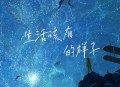 王一佳《生活该有的样子》[无损flac]网盘下载