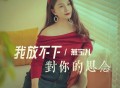 燕宝儿《我放不下对你的思念》[FLAC/MP3-320K]网盘下载