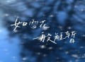 田园《如雪花一般短暂》[FLAC/MP3-320K]网盘下载