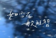 田园《如雪花一般短暂》[FLAC/MP3-320K]网盘下载