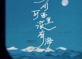庄淇文29《可可西里没有海》[无损flac|320K高品质MP3]网盘下载